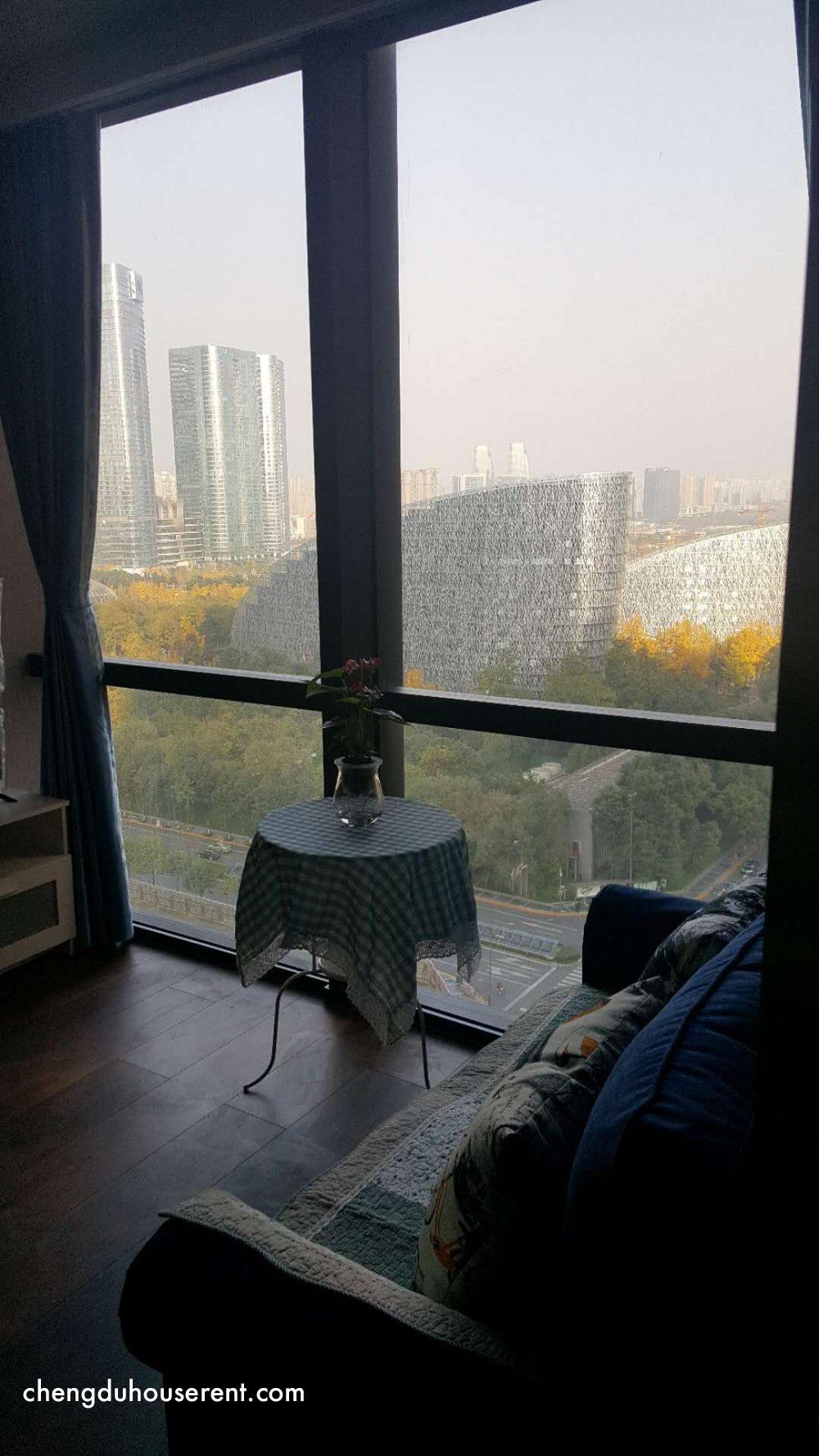 Gaosheng Mansion for rent in Chengdu (6)