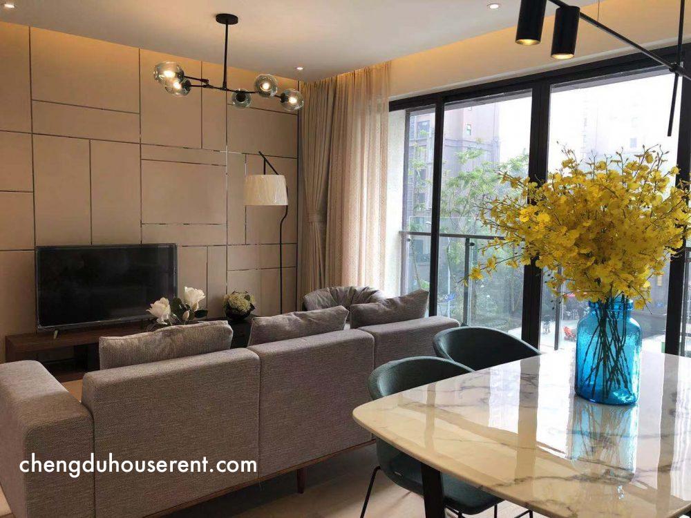 Cosmo Flat for rent in Chengdu (5)